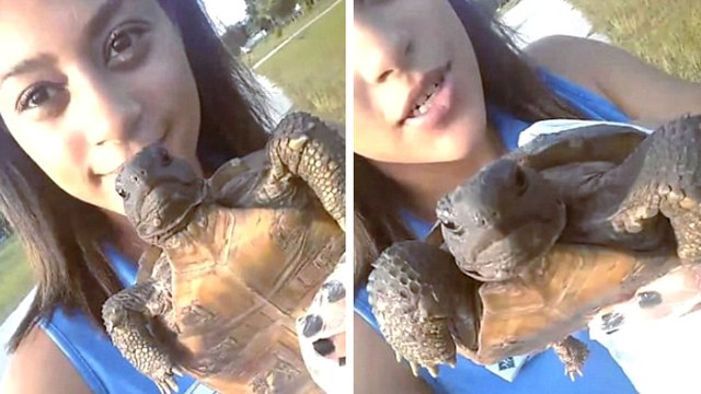 Elle crée la polémique en jetant à l'eau une tortue terrestre... qui ne sait pas nager !