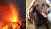 Miracle : tombé dans un volcan, ce chien survit à une chute de 6 mètres grâce à ses sauveurs