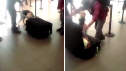 Les policiers l'obligent à ouvrir sa valise, et font une découverte vraiment inattendue