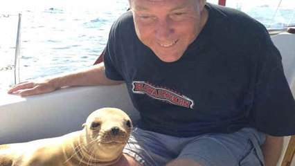 Il invite une otarie sur son bateau, mais il ne s'attendait pas à sa réaction pendant l'heure suivante !