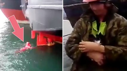 Un chat coincé dans le gouvernail d'un bateau est sauvé par le geste magnifique d'un marin