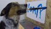 Le chien Jumpy écrit son prénom au pinceau