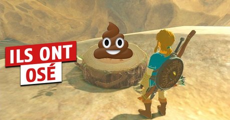 The Legend of Zelda Breath of the Wild : un joueur a trouvé les 900 graines Korok