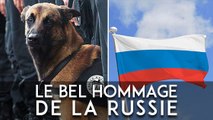 Hommage à Diesel : la Russie offre un petit chien à la France
