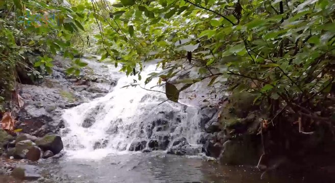 m qn-Viaje con nosotros al pueblo de las cataratas -030222