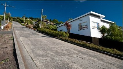 Nouvelle-Zélande : Baldwin street est la rue la plus raide du monde