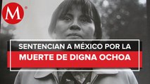 Publican resumen de CIDH en caso de Digna Ochoa: México es responsable de su muerte