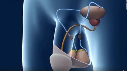 Des scientifiques inventent un interrupteur à contraception pour hommes