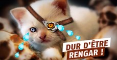 League of Legends : les derniers nerfs ont fini de creuser la tombe de Rengar