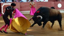 Bonne nouvelle : la corrida a été radiée du patrimoine culturel immatériel français