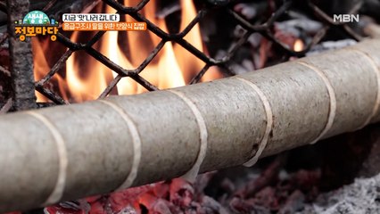 오늘 트집 한번 제대로 잡아보자! 전통 방식 그대로 옻 진액 채취하기~