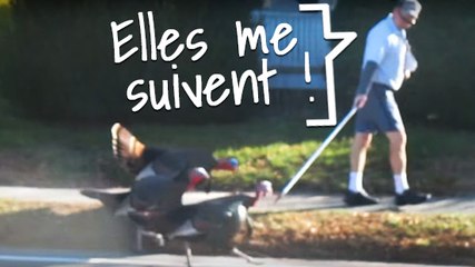 Un facteur agressé par une bande de dindes en colère, et ça tous les jours.