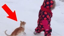 Ce chat poursuit un bébé dans la neige pour lui faire un câlin