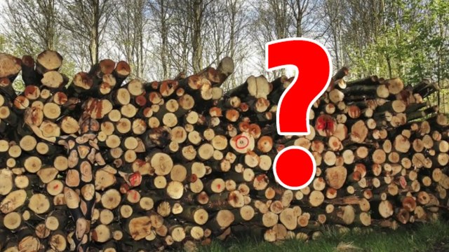 Ces photos cachent des choses vraiment anormales