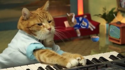 Ce chat joue du piano à la perfection... mais il a une botte secrète !