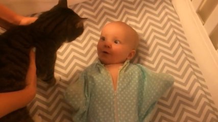 Ce bébé est extrêmement content de la visite surprise de ce chat