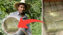 Colombie : un fermier fait une étrange découverte dans son jardin