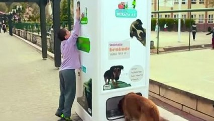 Cette machine offre de la nourriture pour les chiens errants contre des bouteilles en plastique