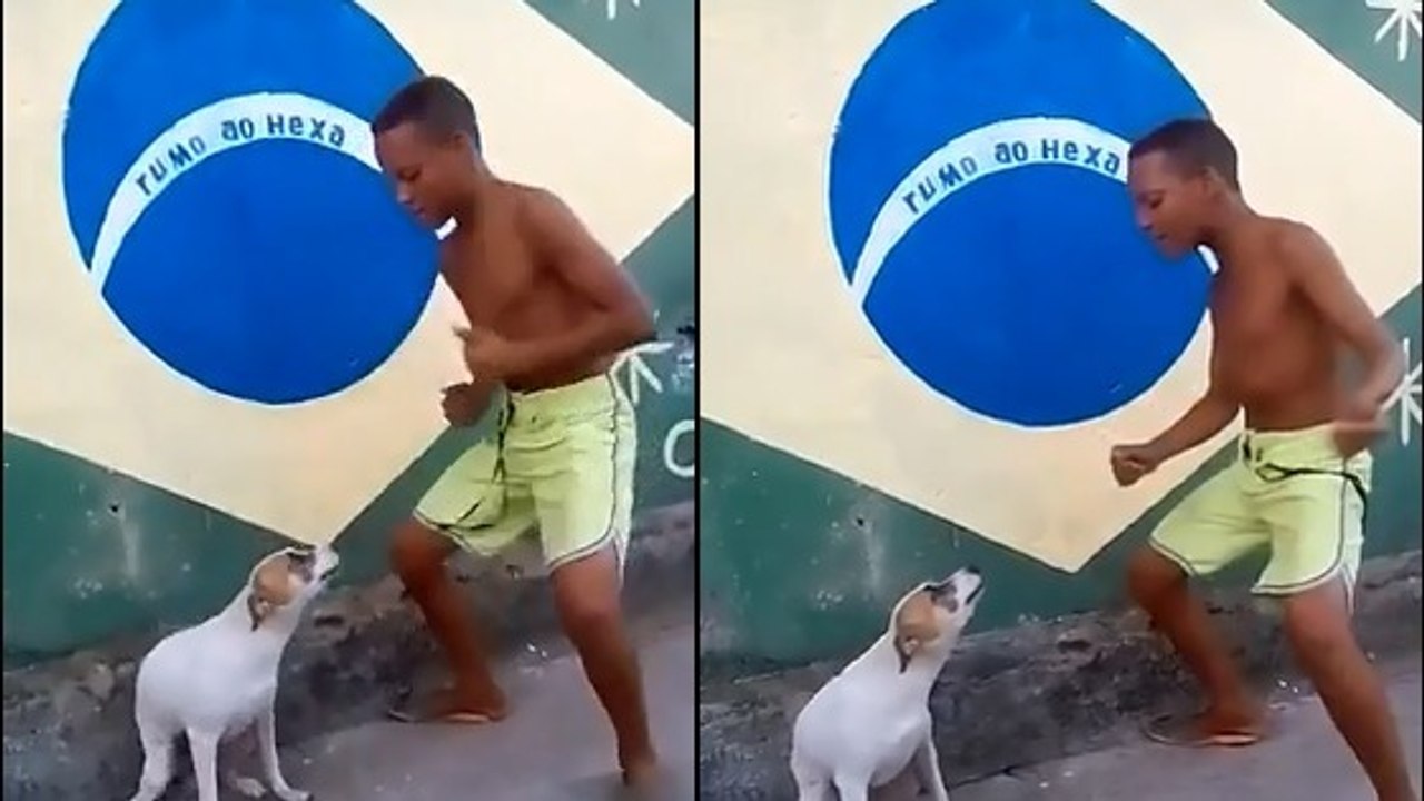 Quand ce garçon danse une samba, ce chien a une réaction magique !