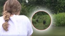 Douze ans plus tard, un père et sa fille retrouvent les gorilles qu'ils ont élevés au biberon !