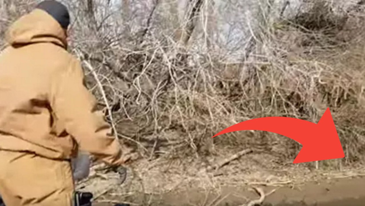 Ce pêcheur entendait des pleurs désespérés. Regardez ce qui arrive au moment où il siffle