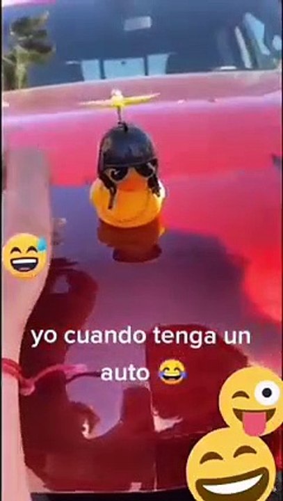Nomada Wiiiiiing - Funny Video