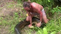 Guyane : un Français capture un anaconda de 5 mètres de long après avoir mangé le chien des voisins