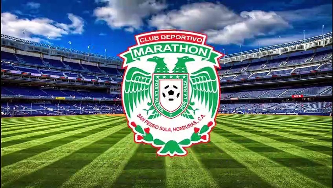 Seguimos Dando Lástima Y En El Polo Norte La H Cayó 3-0 Ante Los Gringos