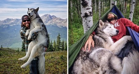 Il voyage autour du monde avec son chien parce qu'il ne supporte pas de le laisser enfermé