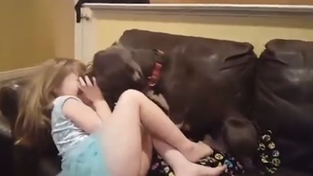 Très câlin, ce pitbull fait mourir de rire sa jeune maîtresse