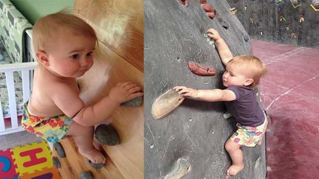 A même pas deux ans, elle escalade des parois de plus de 2 mètres sans aucune sécurité !