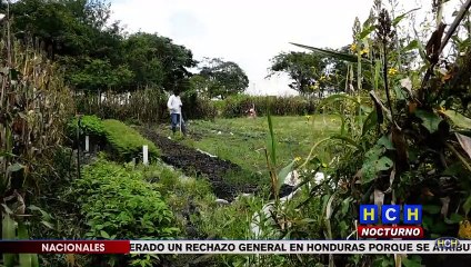 Télécharger la video: Derogación de las Zedes traería demandas millonarias al Estado