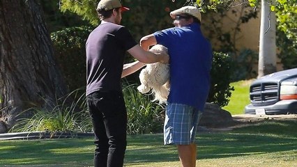 Ryan Gosling sauve un chien au beau milieu d'une autoroute