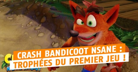 Crash Bandicoot N'Sane Trilogy (PS4) : trophées, succès et achievements du premier jeu