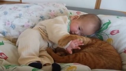 Ce bébé fait un câlin adorable à un chat roux