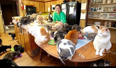 Elle vit avec plus de 1000 chats chez elle !