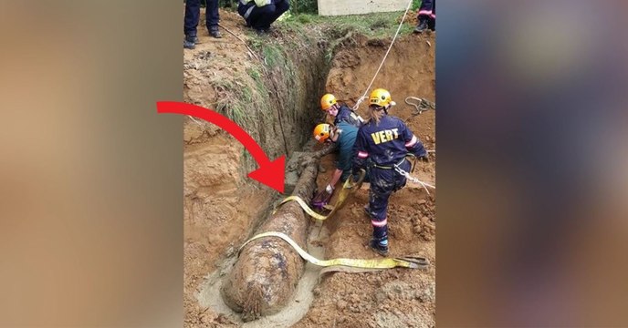 Ils sauvent un cheval piégé dans une fosse de boue !
