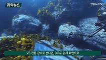 [자막뉴스] 독도 수중 생태계를 생생히…독도 VR 콘텐츠 제작