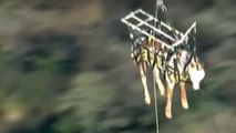 Le spectaculaire sauvetage d'un cheval par les airs !