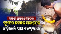 Special Story | Watch - Monkeys Refuse To Leave Dead Body Of A Troop Member