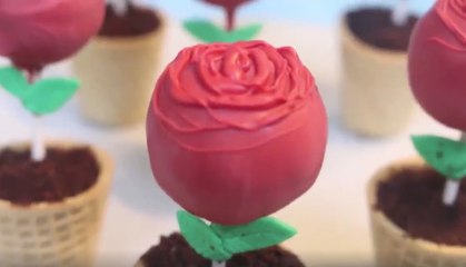 Voici de délicieuses sucettes au chocolat en forme de rose