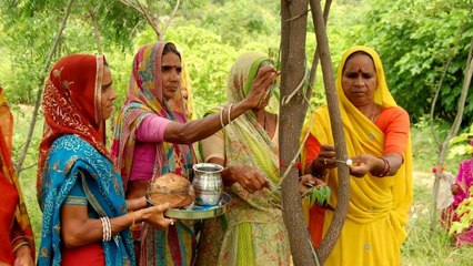 Piplantri : l'histoire émouvant du village indien qui plante 111 arbres à chaque naissance d'une petite fille