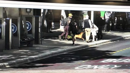 Télécharger la video: CCTV footage of alleged Civic assault | February 4, 2022 | Canberra Times