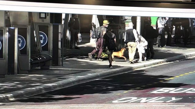 CCTV footage of alleged Civic assault | February 4, 2022 | Canberra Times