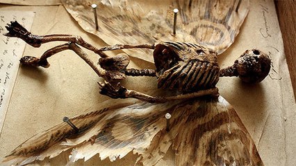 Ils devaient démolir cette vieille maison jusqu'à ce qu'ils trouvent ça à l'intérieur