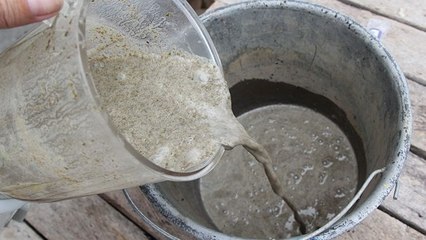 Les graffitis écolos : un art totalement fou !