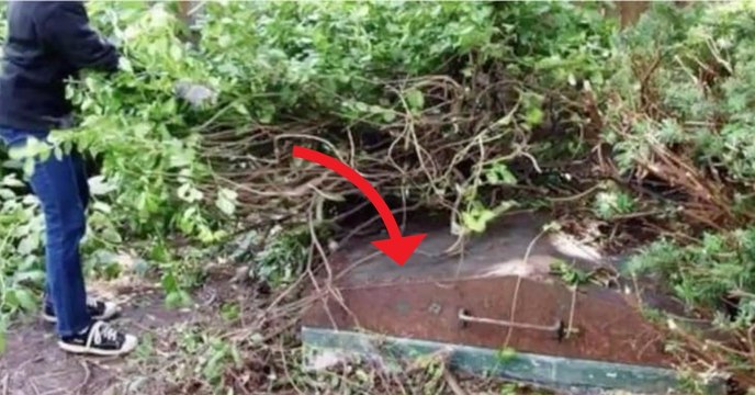 Elle n'a jamais su ce que cachait cette porte métallique au fond de son jardin... Elle l'ouvre et découvre un truc de dingue