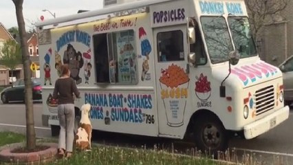 Un chien attend sagement le livreur de glace. Enfin, jusqu'à ce qu'on le serve ! Et là...