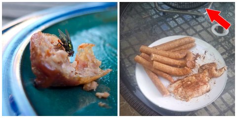 Voici la solution pour empêcher les mouches de venir sur votre nourriture en extérieur!