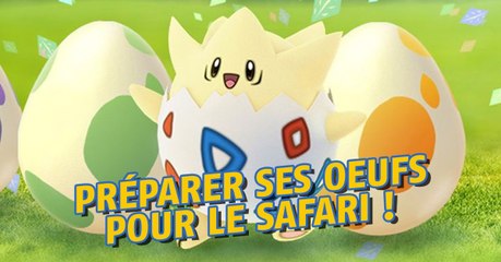 Pokémon Go : comment bien préparer ses œufs pour les Safaris